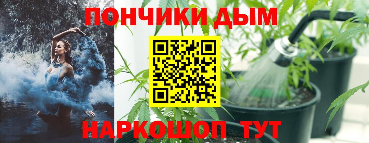 Канабис планчик Печора